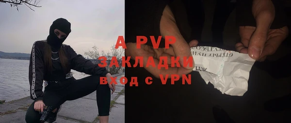 эйфоретик Белокуриха