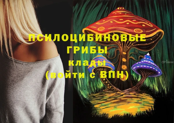 PSILOCYBIN Волосово