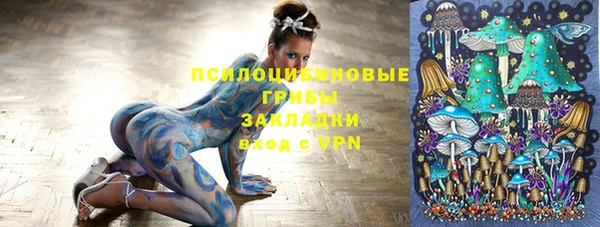 эйфоретик Белокуриха