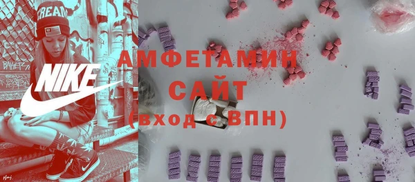 прущие грибы Бородино