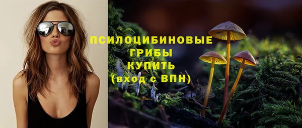 PSILOCYBIN Волосово