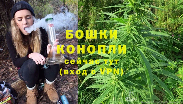 эйфоретик Белокуриха